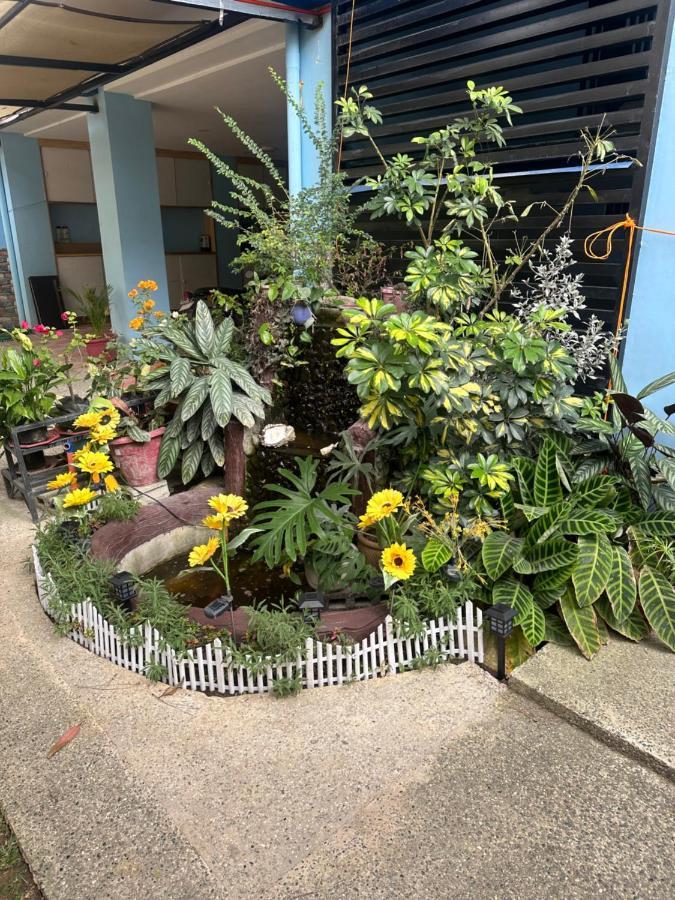 Mountain And Sunsetview Baguio Residences Baguio City Екстер'єр фото